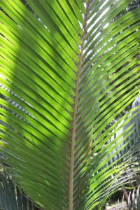 IMG_3065.JPG