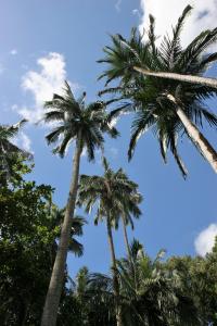 IMG_3066.JPG