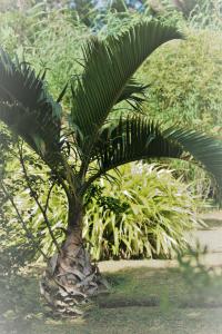 IMG_3189.JPG